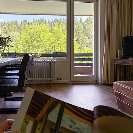 In Der Buere B Apartamento Winterberg