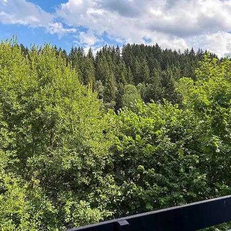 Apartamento In Der Buere B